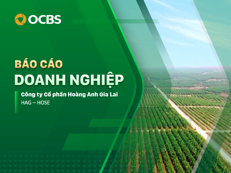 HAG - Báo cáo lần đầu 04.2026