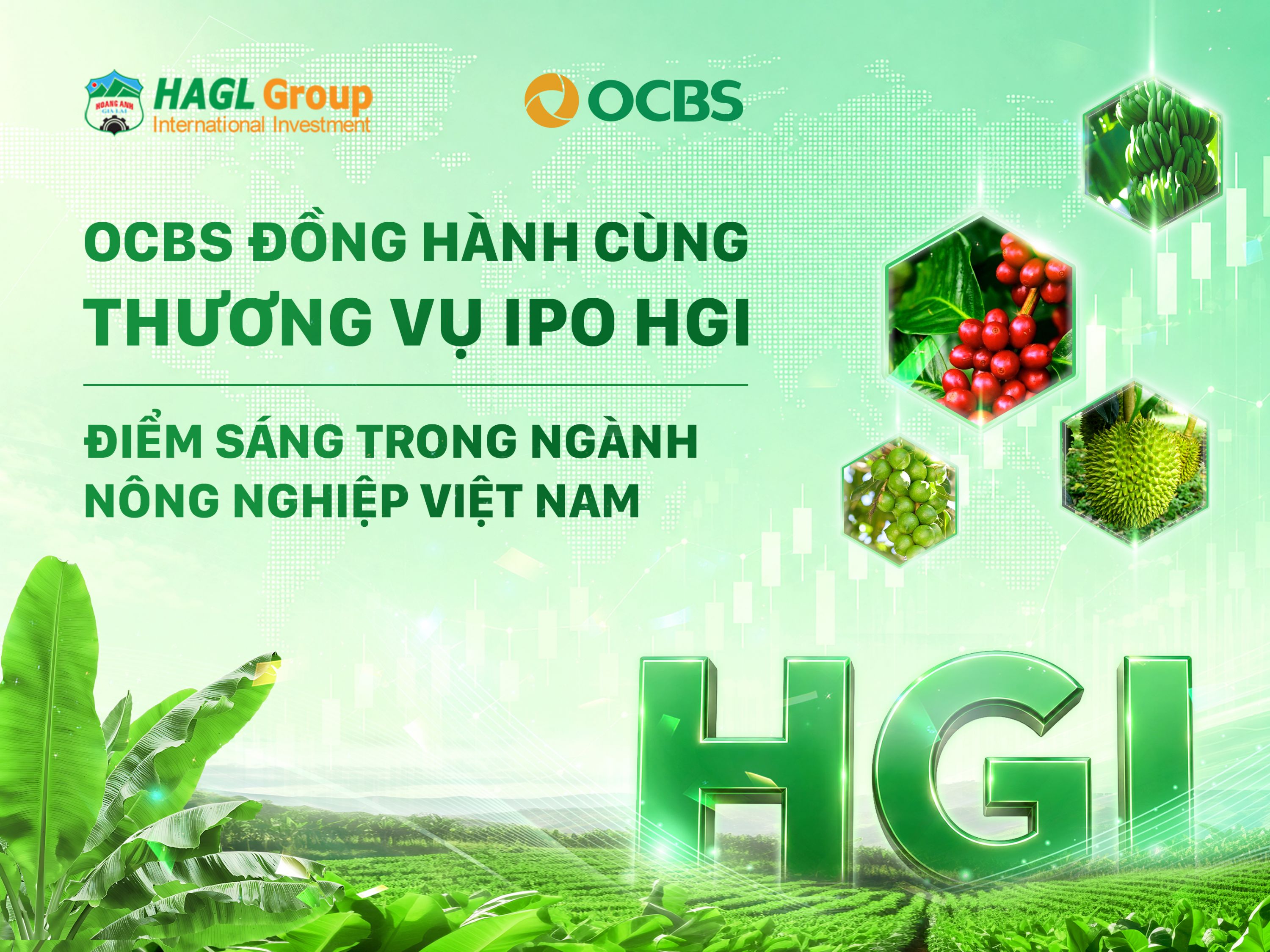 OCBS ĐỒNG HÀNH CÙNG THƯƠNG VỤ IPO HGI - ĐIỂM SÁNG TRONG NGÀNH NÔNG NGHIỆP VIỆT NAM